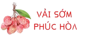 Vaisomphuchoa.com