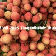 Giá vải thay đổi thất thường
