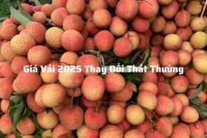 Giá vải thay đổi thất thường