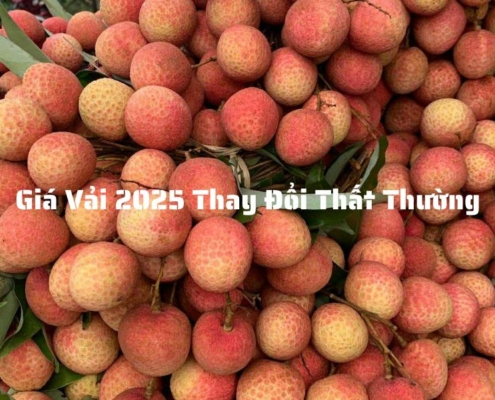 Giá vải thay đổi thất thường